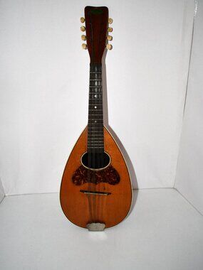 Vintage Regal Mandolin Made in Chicago Wood String Instrument with Case Good Con